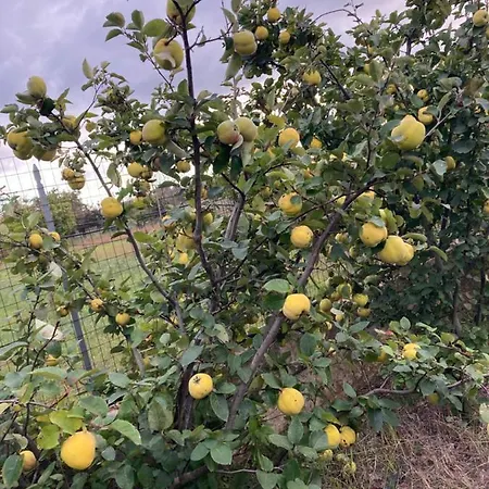 Tenuta La Trebbia * Tricase
